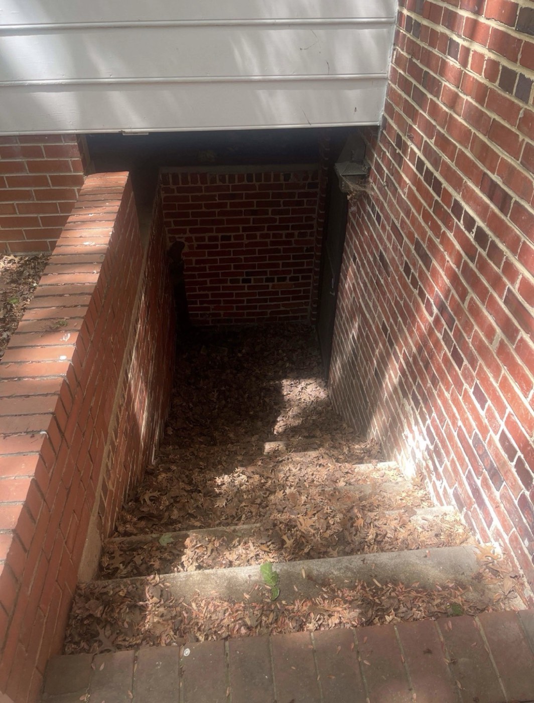 Basement stairwell full of leaves before cleanup