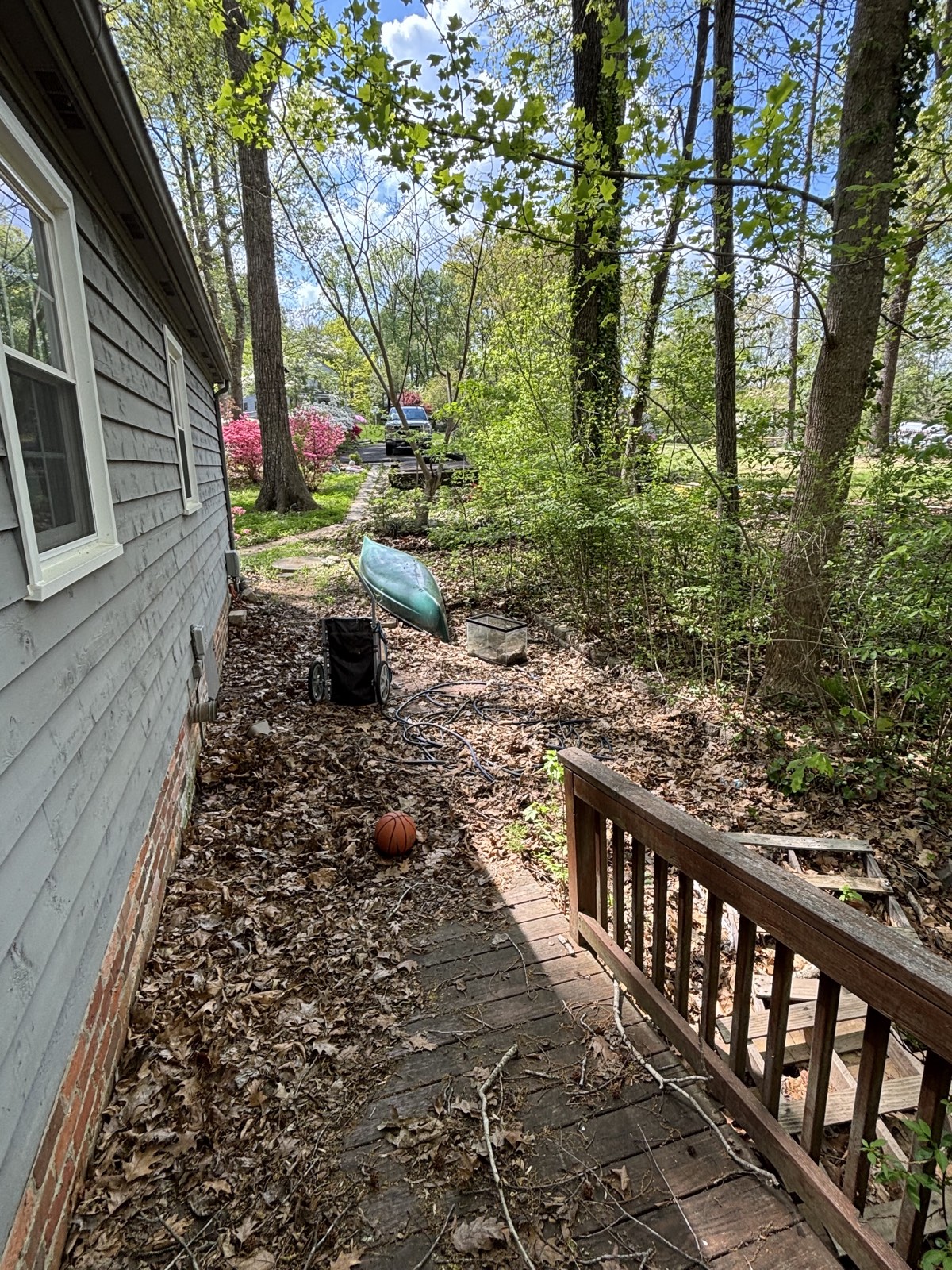 Side yard path blocked by debris and overgrowth before cleanup