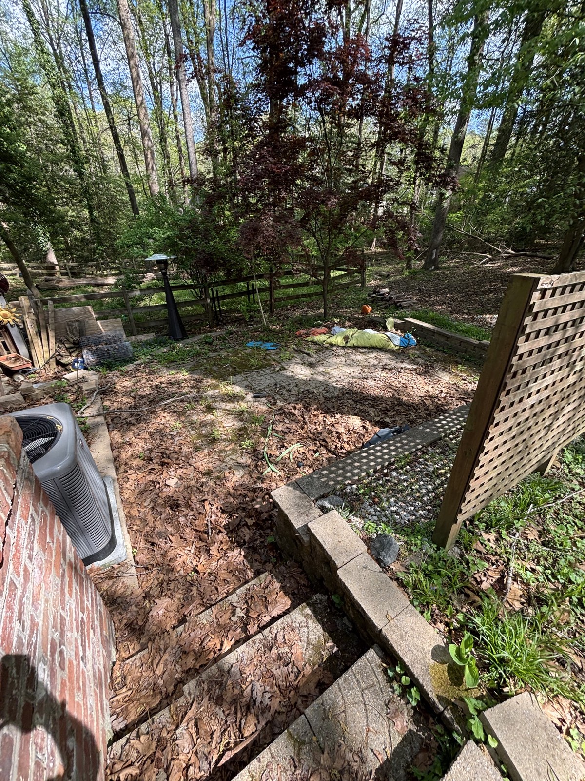 Backyard area covered in leaves and debris before cleanup